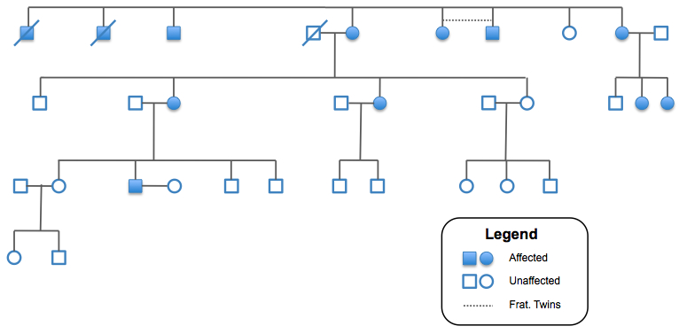 Family Pedigree of Retinitis Pigmentosa